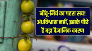 दरवाजे पर नींबू-मिर्च लटकाना सिर्फ अंधविश्वास नहीं! इसके पीछे छिपा है ये गहरा वैज्ञानिक कारण; जानकर रह जाएंगे दंग