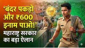 बंदर पकड़ो और ₹600 इनाम पाओ! महाराष्ट्र सरकार का अनोखा ऐलान; बढ़ते आतंक को रोकने के लिए वन विभाग ने लिया फैसला