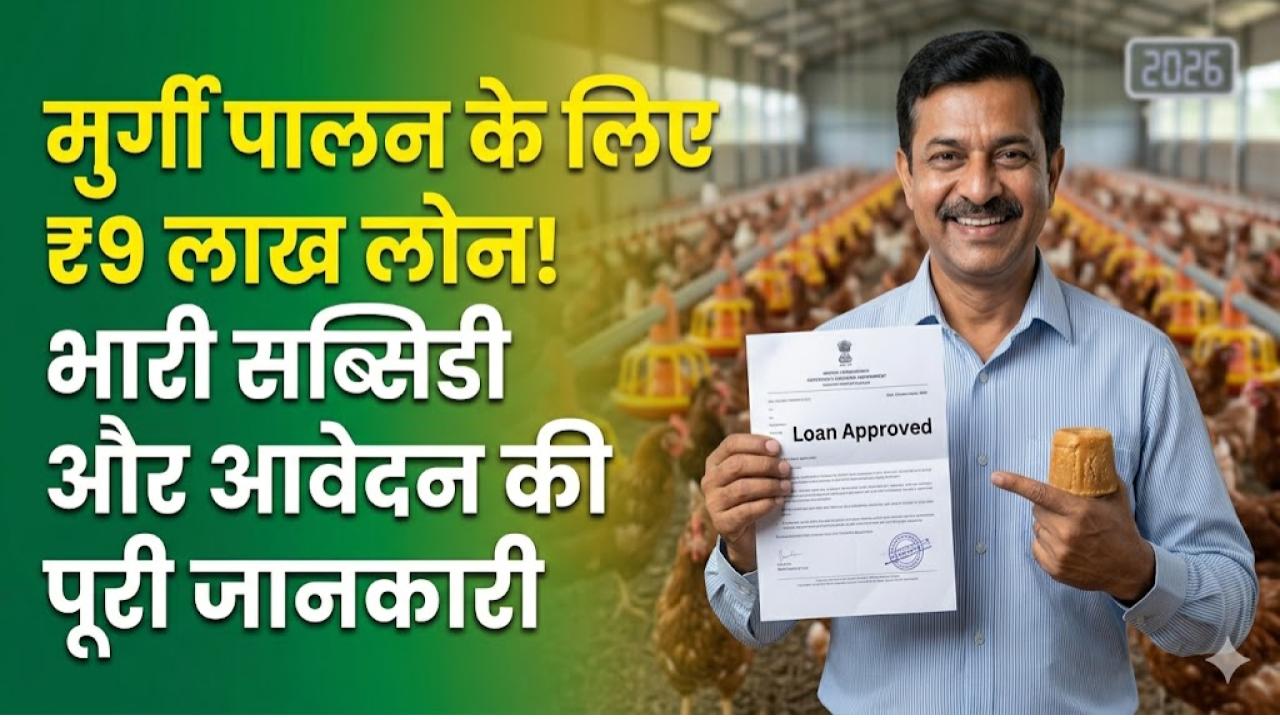 मुर्गी पालन लोन योजना 2026: बिजनेस शुरू करने के लिए पाएं ₹9 लाख तक का लोन! जानें आवेदन का तरीका और सब्सिडी की डीटेल