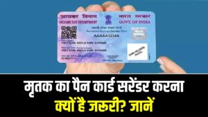 मृतक का पैन कार्ड सरेंडर करना क्यों है जरूरी? जानें स्टेप-बाय-स्टेप प्रोसेस, वरना आ सकता है इनकम टैक्स का नोटिस