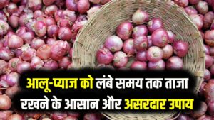 गर्मी में नहीं सड़ेंगे आलू-प्याज! स्टोर करने के ये 9 तरीके बढ़ा देंगे लाइफ; आज ही अपनाएं ये देसी जुगाड़