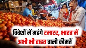 यहाँ 1 किलो टमाटर की कीमत 700 तक! इतने में भारत में भर जाएगा पूरा थैला; जानें