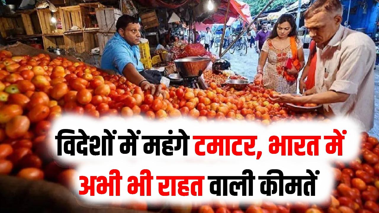 यहाँ 1 किलो टमाटर की कीमत 700 तक! इतने में भारत में भर जाएगा पूरा थैला; जानें