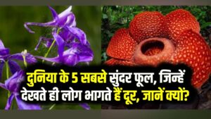 खूबसूरत लेकिन खतरनाक! दुनिया के 5 सबसे सुंदर फूल, जिन्हें देखते ही लोग भागते हैं दूर; जानें क्यों?